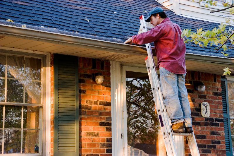 Local Gutter Covers Installation pros at work